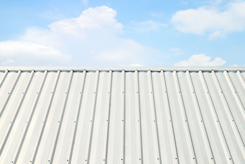 Metal Roof Panel Replacement